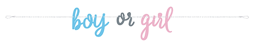 GENDER REVEAL PARTY BANNER FW