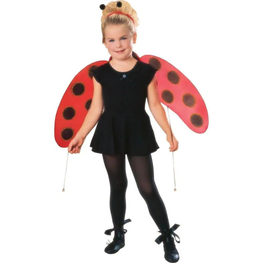 Ladybug Accessory Kit