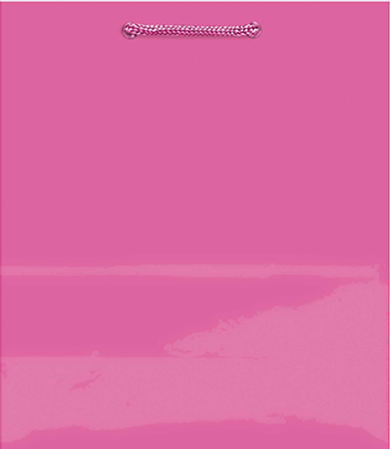 GIFT BAG MEDIUM BRIGHT PINK