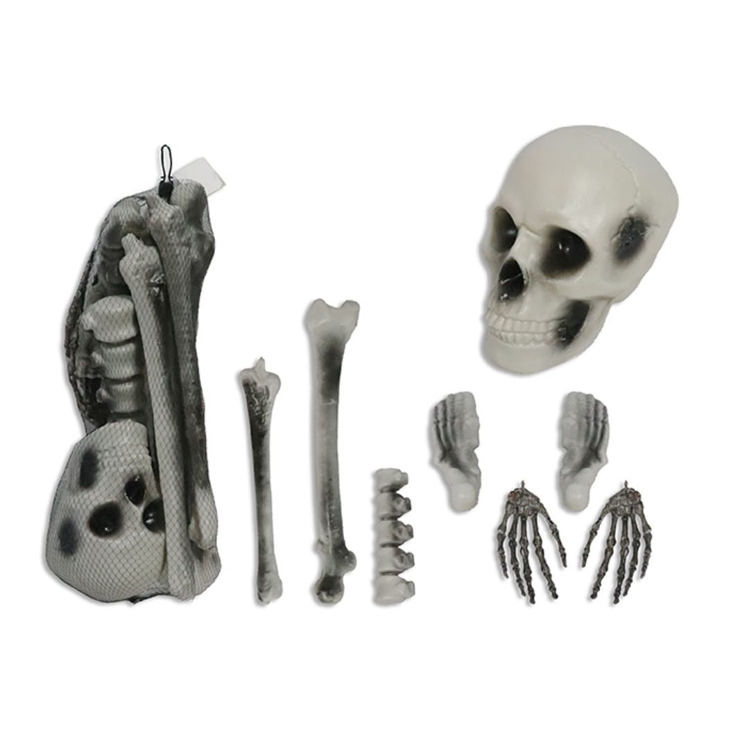 Set 12 Huesos Esqueleto Realistas (x1 set)