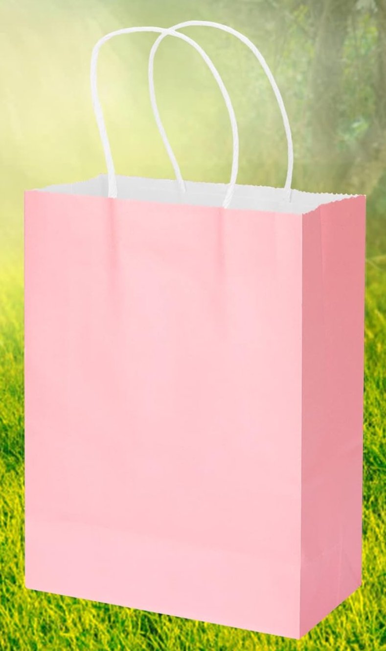 Bolsa de Papel Chica (Unidad) 21*15*8cm