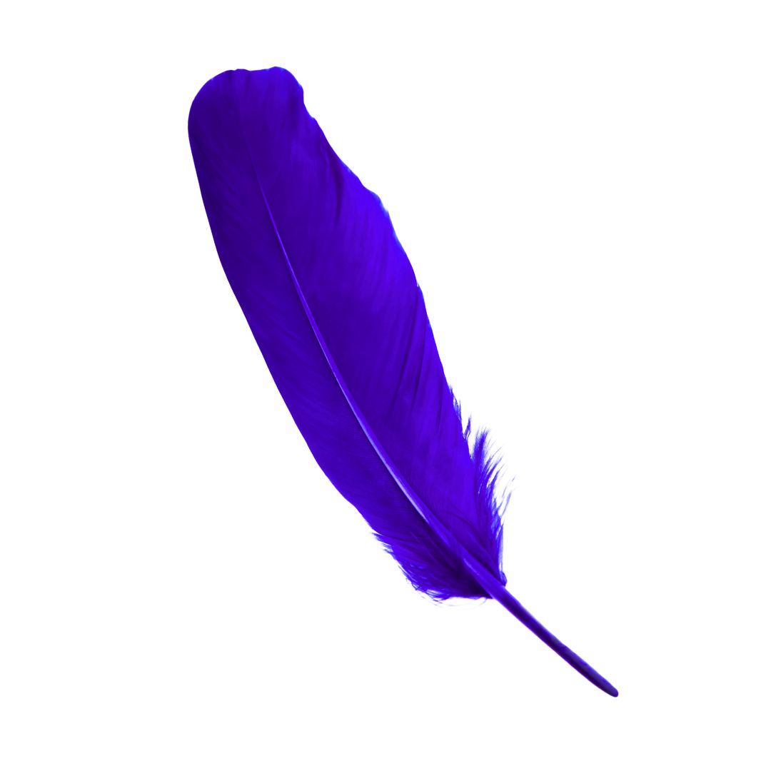 Plumas Medianas Violeta