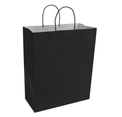 Paper Bags with Handles for Favors & Gifts 15¾" XL (Pack x12u)