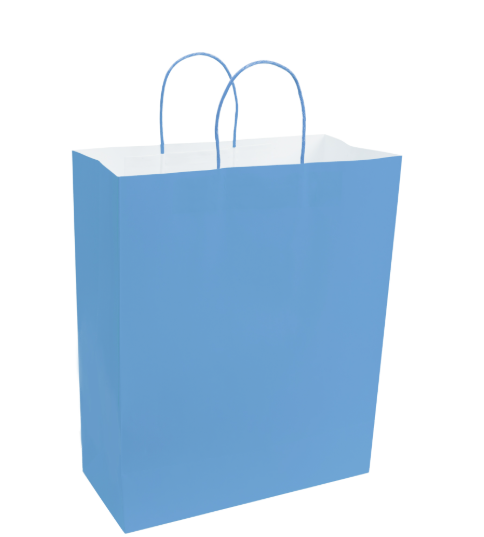 Paper Bags with Handles for Favors & Gifts 15¾" XL (Pack x12u)