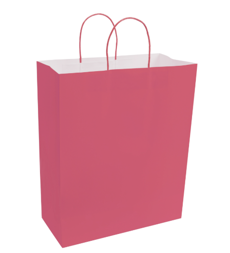 Paper Bags with Handles for Favors & Gifts 15¾" XL (Pack x12u)
