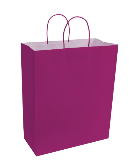 Paper Bags with Handles for Favors & Gifts 15¾" XL (Pack x12u)