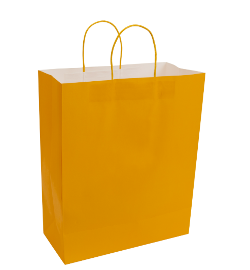 Paper Bags with Handles for Favors & Gifts 15¾" XL (Pack x12u)