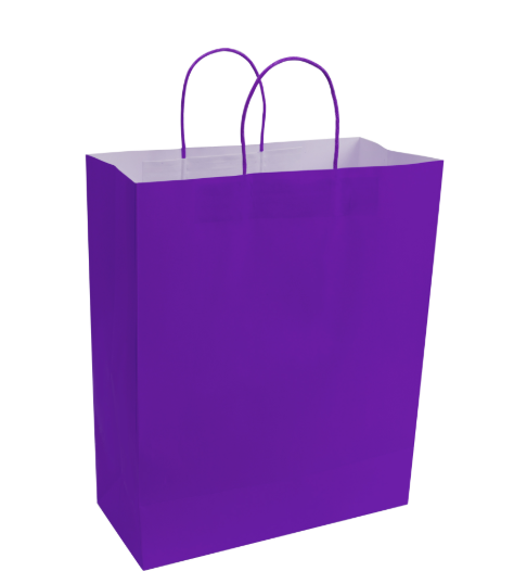 Paper Bags with Handles for Favors & Gifts 15¾" XL (Pack x12u)
