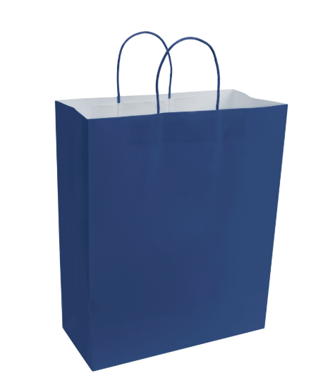 Paper Bags with Handles for Favors & Gifts 15¾" XL (Pack x12u)