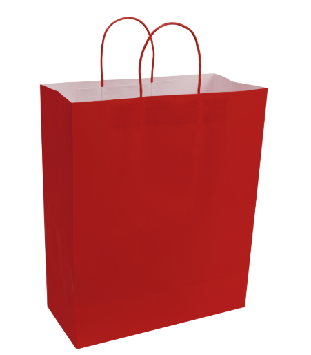 Paper Bags with Handles for Favors & Gifts 15¾" XL (Pack x12u)