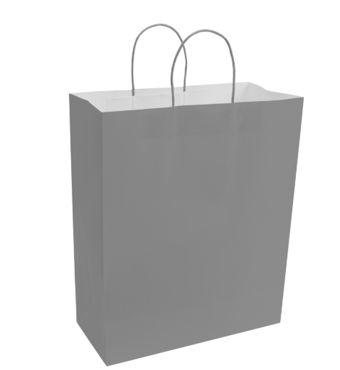 Paper Bags with Handles for Favors & Gifts 15¾" XL (Pack x12u)