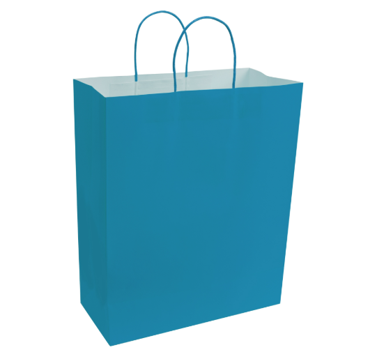 Paper Bags with Handles for Favors & Gifts 15¾" XL (Pack x12u)