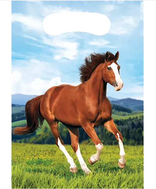 Horse and Pony Loot Bags