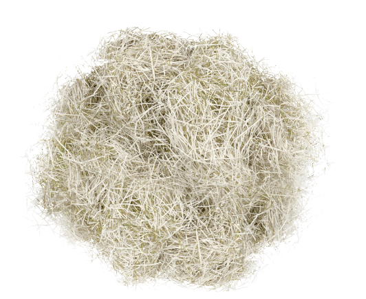 Paper Shred With Metallic Gold Foil 6oz - Ivory