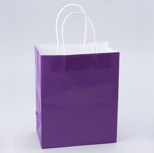 Paper Bags with Handles for Favors & - Gifts 10"