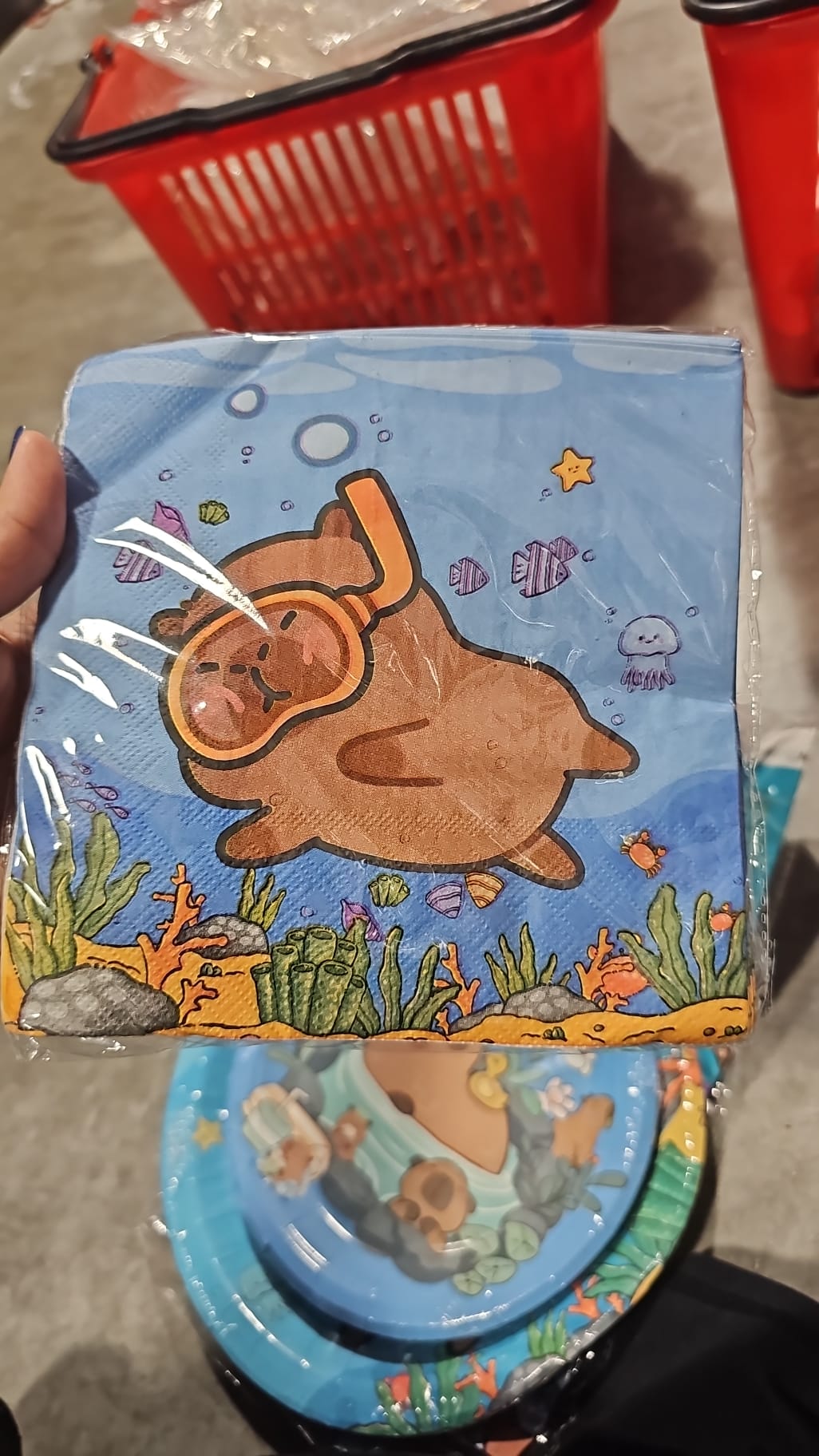 Capibara Decoración de Cumpleaños