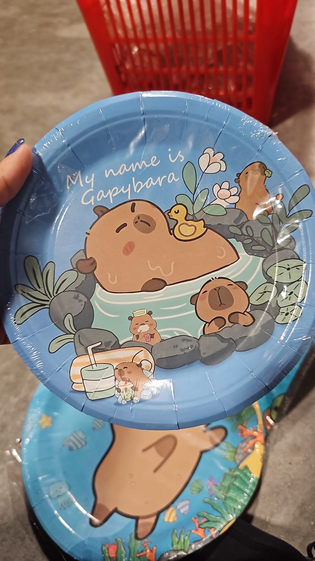 Capibara Decoración de Cumpleaños