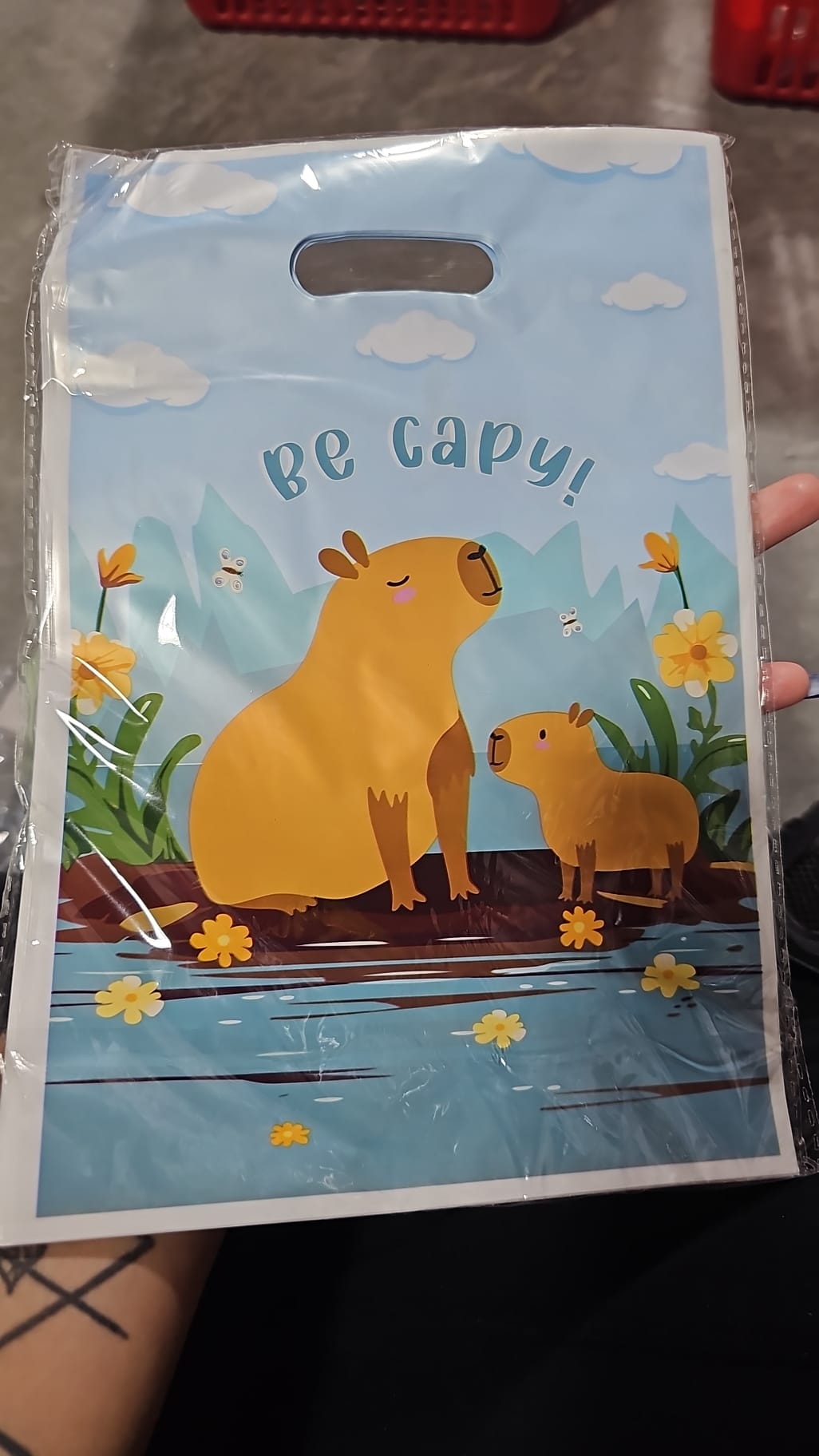 Capibara Decoración de Cumpleaños