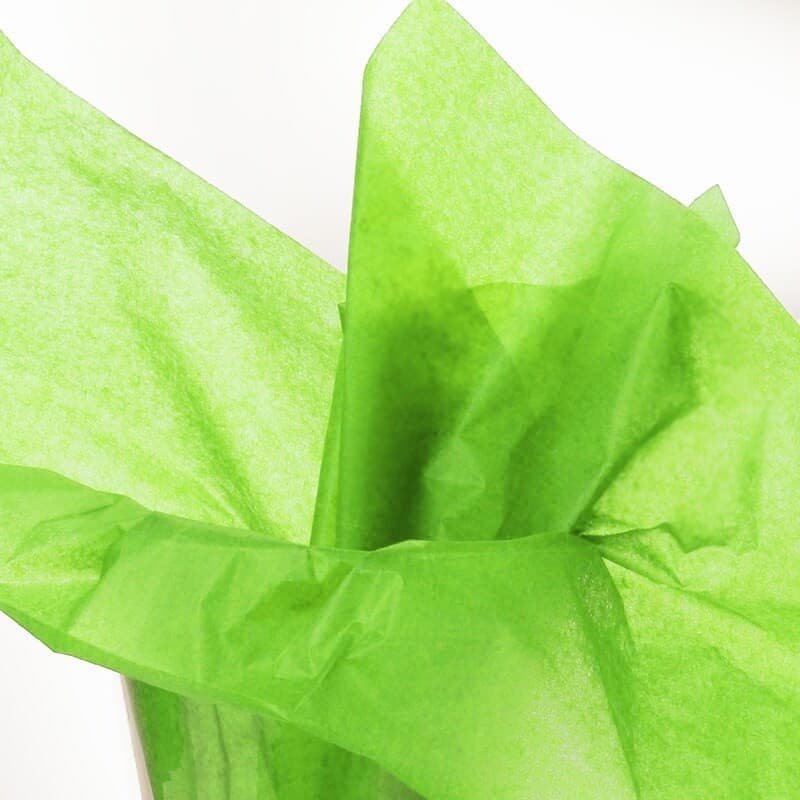 Tissue Paper Verde 10pcs