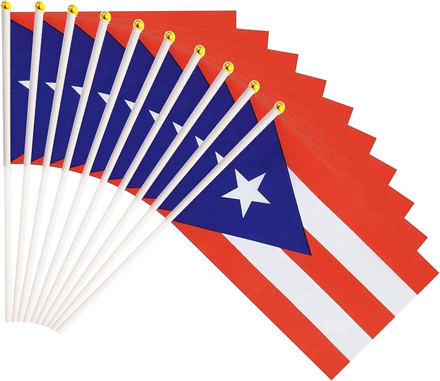 Bandera de Puerto Rico 20" x 14" 1pcs