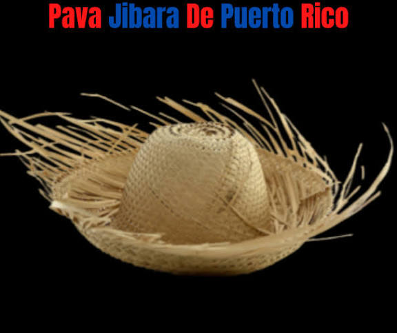 Pava / Sombrero Jibaro (x1u) Niño