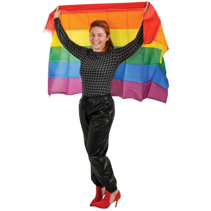 Bandera Arco Iris