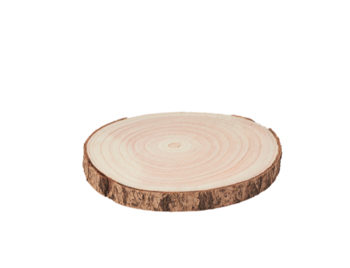 RODAJAS DE MADERA NATURAL - 9"