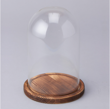 Cupula de Vidrio con Base de Madera