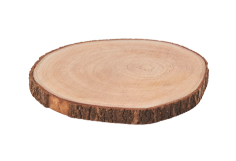 Rodaja de Madera Natural  - 12"