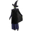 Elphaba Deluxe Adult