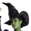 Elphaba Deluxe Adult