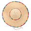 Sombrero Tradicional Mexicano (x1u)