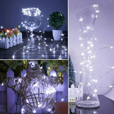 Tira de 20 LEDs de Alambre