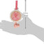 Twinkle Toes Ballet Blowouts (x8u)