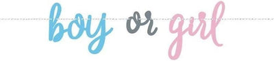 Gender Revearl Party Banner (x1u)