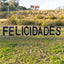 Alquiler - Yard Sign 24" - Black