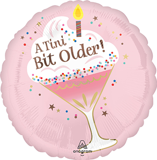 18" A TINI BIT OLDER BIRTHDAY