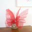 Mariposa Tridimensional (x1u)