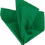 Tissue Paper Dark Green (x10u)
