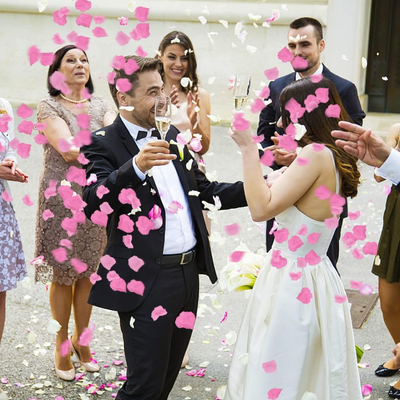 Rose Petal Party Popper (Pink)