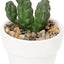 Cactus Artificiales Mexico (x1u)