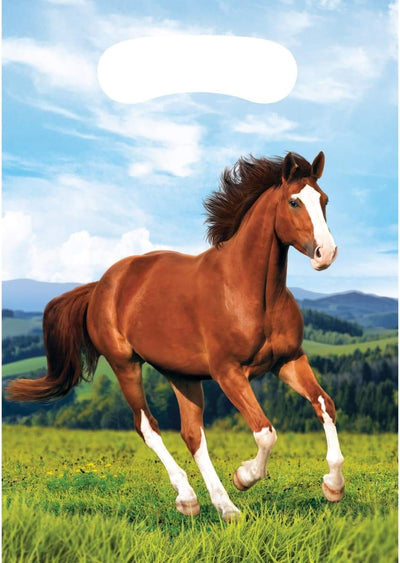 Horse and Pony Loot Bags (x8u)