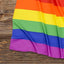 Bandera Rainbow 3x5'