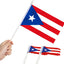 Mini Bandera Puerto Rico (8.5”x5.5")