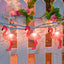 Flamingo Light Chain 5ft (x1xu)