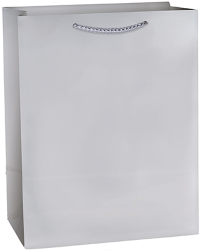 SOLID GLOSSY BAGS MED SILVER