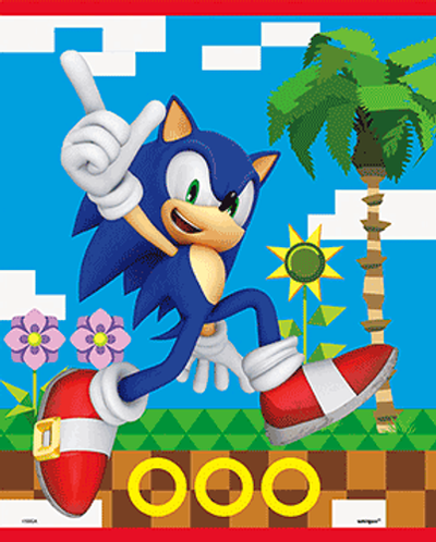 Sonic Loot Bags (x8u)