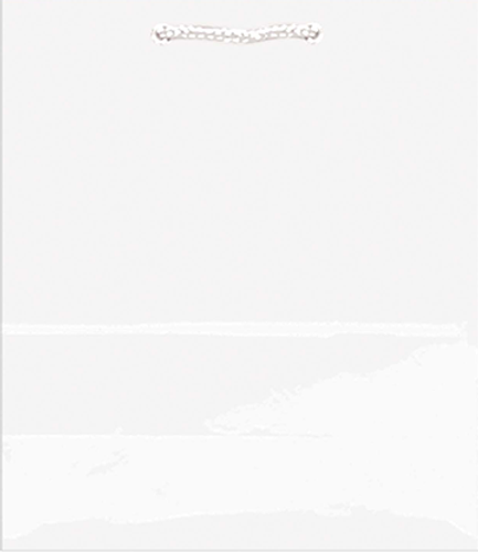 SOLID GLOSSY BAGS MED WHITE