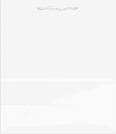 SOLID GLOSSY BAGS MED WHITE