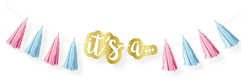 THE BIG REVEAL TASSEL GARLAND